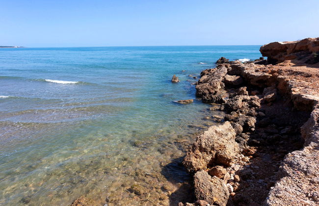 El Palmar Playa Romana - Foto 22