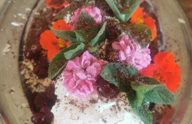 Przystan Ramotowo - Foto 25