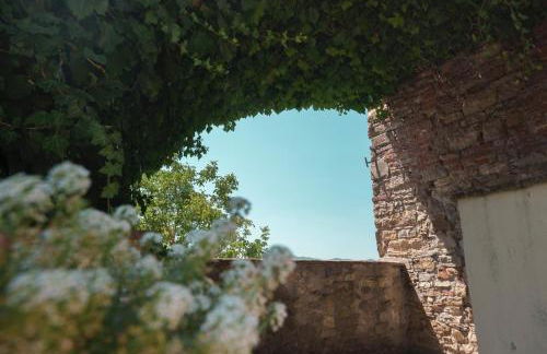 Al Podere del Nonno Romolo - Photo 19