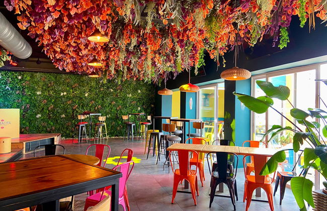 AX Sunny Coast - Photo 17