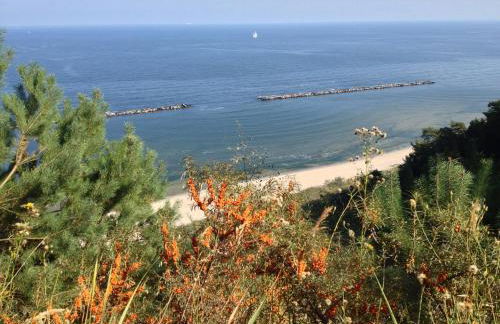 Alter Schulgarten - Foto 31