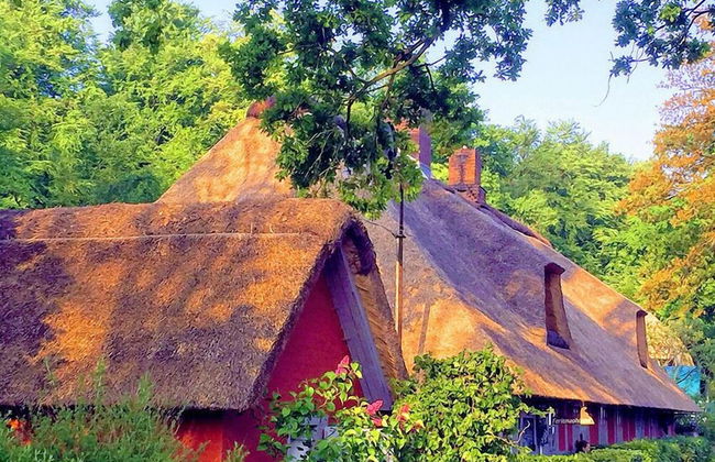 Wegekaten - Ferienwohnungen unter Reet - Foto 30