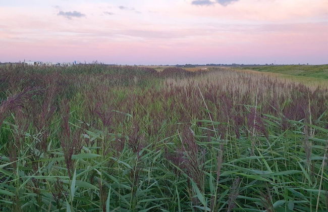 8 Person Holiday Home in Haderslev-by Traum - Foto 6