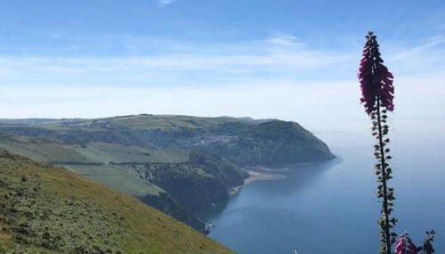 Luxury Exmoor Barn conversion with Sauna - Foto 4