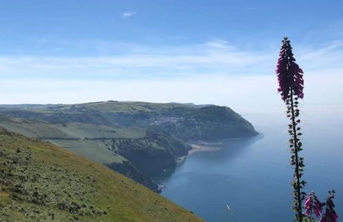 Luxury Exmoor Barn conversion with Sauna - Foto 4