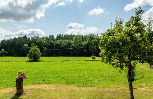 Ferienwohnungen Mayerhofer - Photo 40