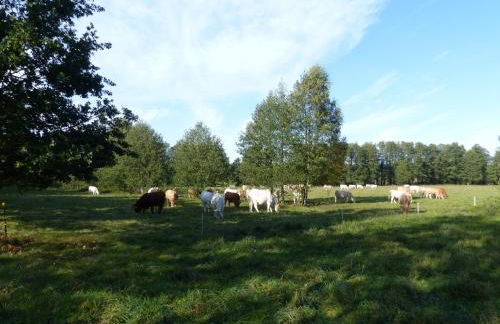 Ferienwohnung Ortrand - Pension - Foto 41