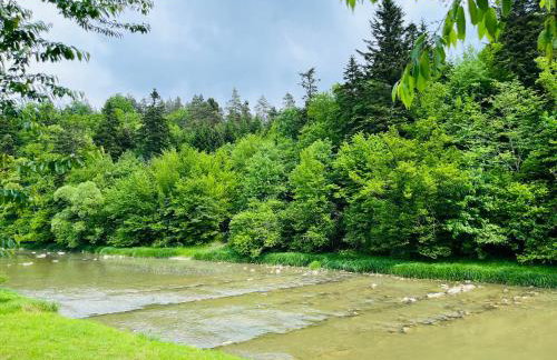 Chata nad Osławą - Foto 19