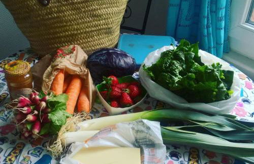 Maison à la campagne avec jardin clos - Animaux acceptés - FR-1-489-172 - Foto 17