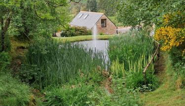 Boghead Cottage: Holiday Cottage in Royal Deeside - Foto 2, Garden view