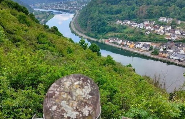 Vakantiehuis Mosella - Foto 10