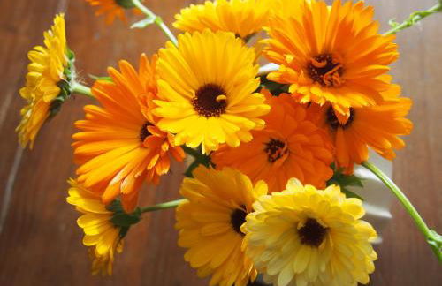 Maison Tombelaine - Foto 10