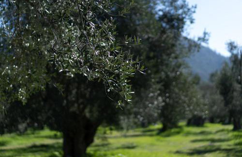 Tzànnou farm residence - Foto 53