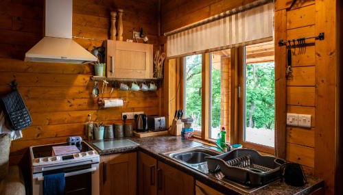 Cherry Cabin - Little Log Cabin in Wales - Foto 2