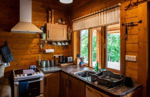 Cherry Cabin - Little Log Cabin in Wales - Foto 2