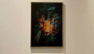 Colline, La suite jacuzzi cinéma privé - Foto 5