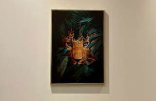 Colline, La suite jacuzzi cinéma privé - Foto 5