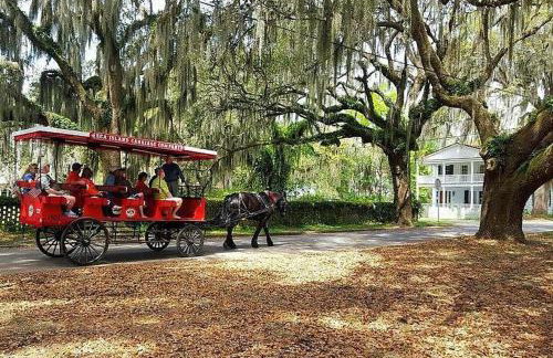 Gritz & Giggles, Where Southern Charm Meets Belly Laughs - Foto 23