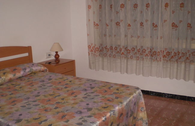 Apartamentos El Oasis - Foto 5