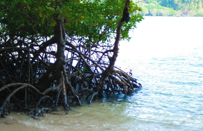 B201 - 1 Bedroom Condo With Sea View, Ao Nang Beach - Photo 35