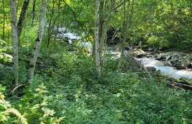 CHALET 3 CHAMBRES - Massif de Belledonne - Haut Bréda - Foto 26