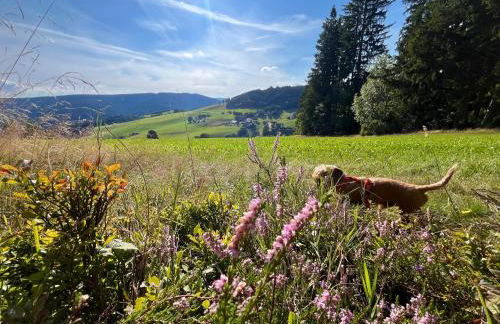Ferienhaus Robin - Foto 62