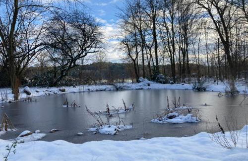 Ferienwohnung mit Sauna und Meditationsangebot - Foto 9
