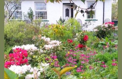 Argyllholidaycottage Loch Awe - Foto 1