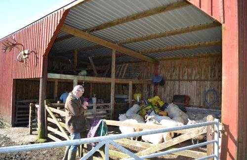 Oban Seil Farm - Photo 40