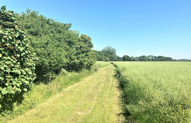 "Aki" - 1.5km from the sea - Foto 19