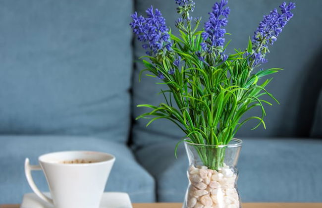 Apartmani Ralux Tivat - Photo 28