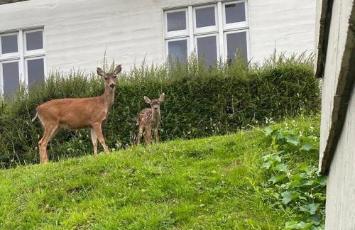 Historic Downtown Cottage - Foto 30