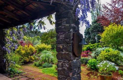 Valle Paraizo - Foto 50