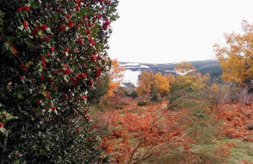 Matandrino - Foto 31