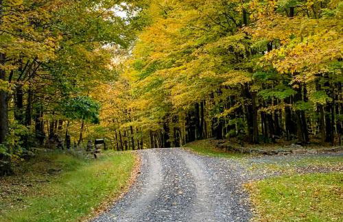 Whistle and Quill Lodge - Foto 39