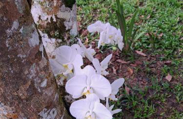 Recanto da Felicidade - Foto 28