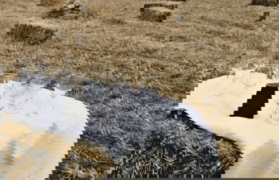 Colle San Mauro - Foto 75