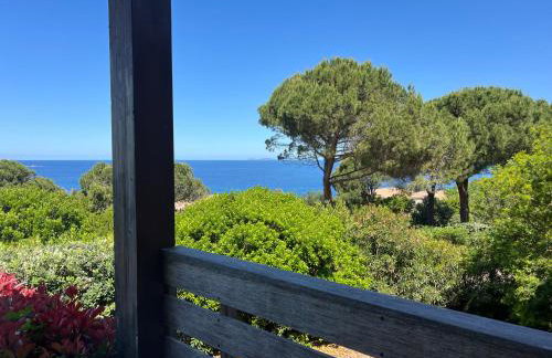 Costa di fiori - Photo 15