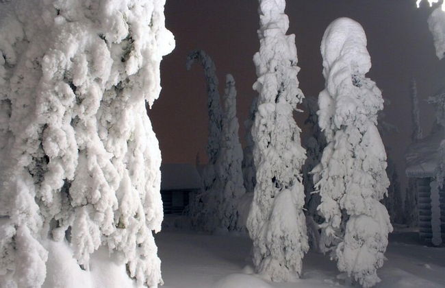 Kelokoto Chalets - Photo 20