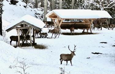 AlpenOase Schliersee - große Suite mit Sauna oder gemütliche Studio Appartements - Foto 33