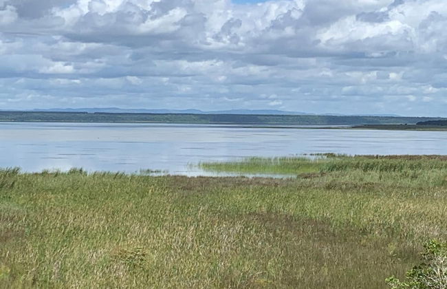 Flamingo Lodge - Foto 34