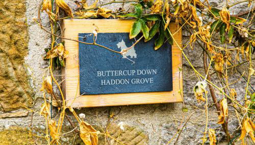 Buttercup Down - Foto 5