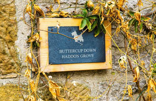 Buttercup Down - Foto 5