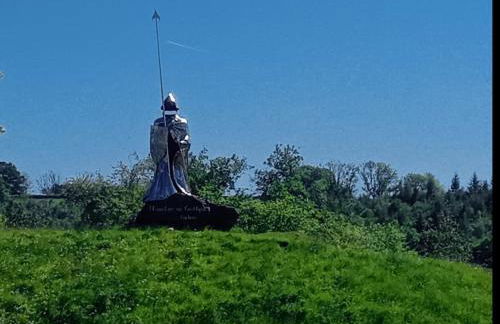 Chandler Ranch Llandovery Cynghordy - Foto 41