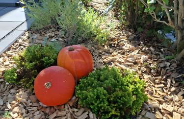 Ferienwohnung bei Tanja und Marcus - Foto 9