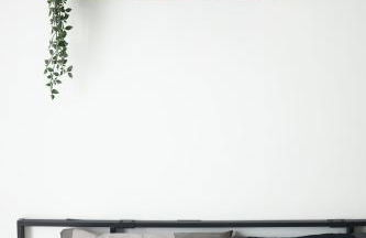 Plebiscito Old Fashion - Foto 17