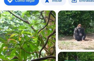 Bienvenidos a la Pequeña Selva de Legnalife - Foto 56