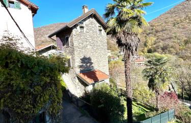 Il GLICINE - Foto 28