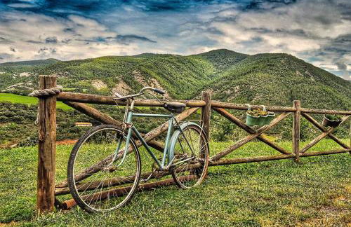 Apartamentos Clavería - Foto 45