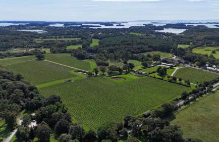 Le Ranch, charmante maison de style, proche de la mer et de Vannes dans le Golfe - Photo 19